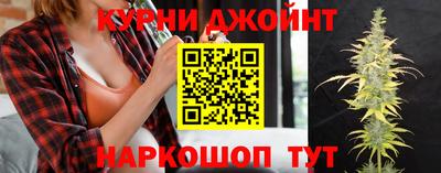 хмурый Кингисепп