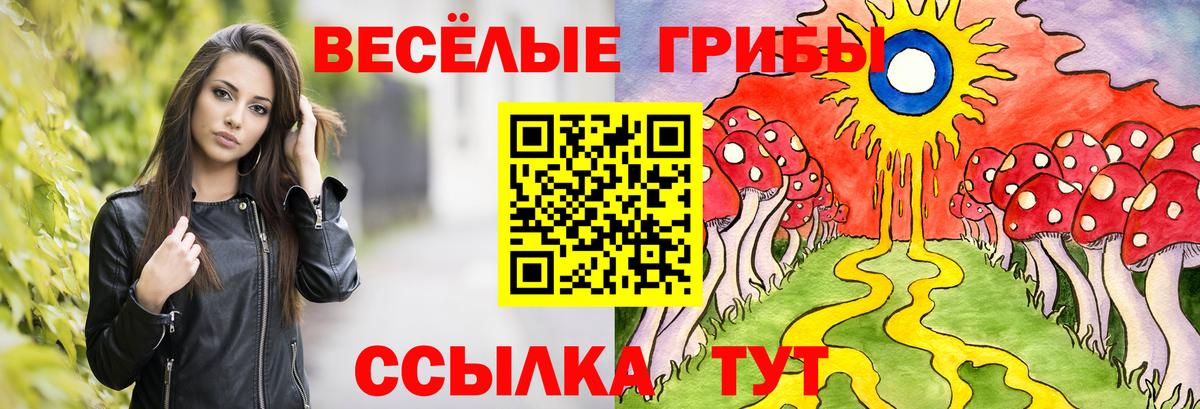 Зима  Галлюциногенные грибы мицелий  Псилоцибиновые грибы Psilocybine cubensis  Вход с VPN 